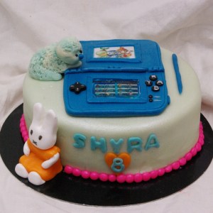 pokemon / nintendo ds taart TAART & kUNST rotterdam nesselande