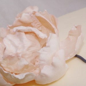 bruidstaart kadodozen met pioenroos van fondant