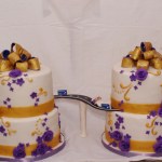 twee bruidstaarten verbonden door snelweg