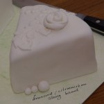 voorproefje op de bruidstaart, bruidsproeverij bij TAART&kUNST in Rotterdam Nesselande