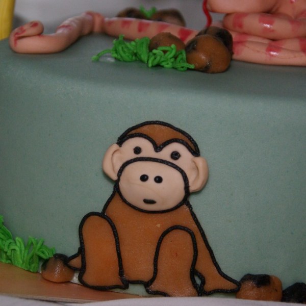 dierentaart bestellen rotterdam nesselande