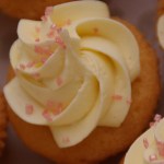 mini cupcakes assorti / swiss meringue botercreme toef