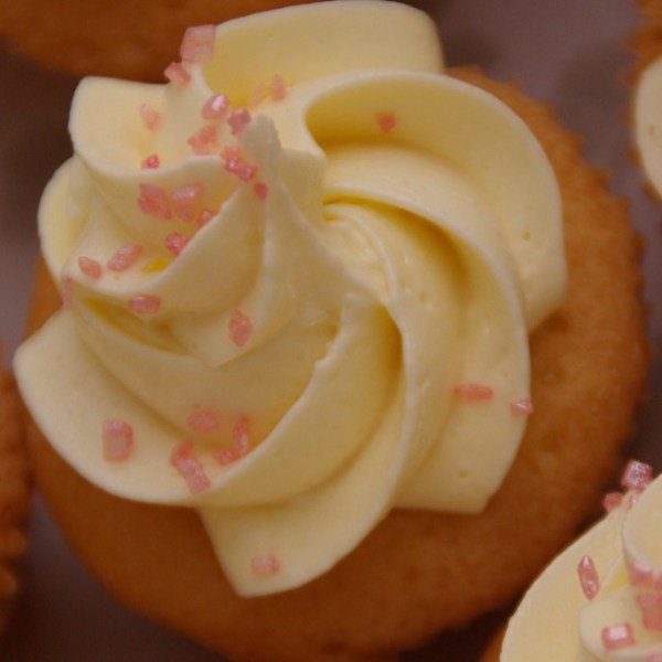 mini cupcakes assorti / swiss meringue botercreme toef