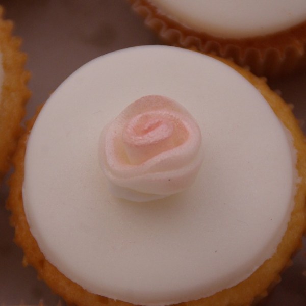 mini cupcakes assorti / miniroosje