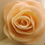 WP_20140830_001 (685×685)