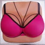 18+ borstentaart met Sapph (achtige) bh