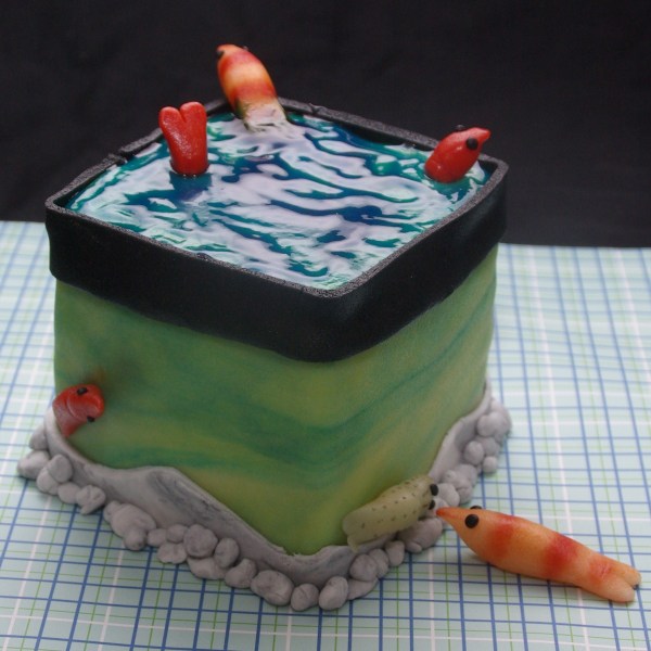 nanocube taart aquariumtaart