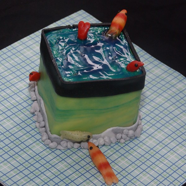 nano cube taartje minitaartje nanocube