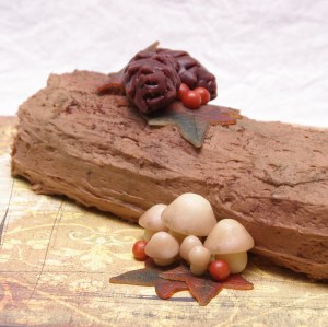 bûche buche yule log boomstam herfst