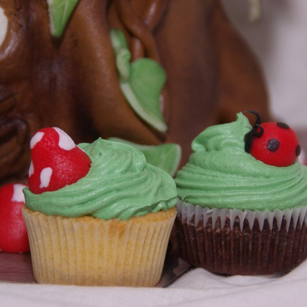 sprookjesboomtaart eftelingtaart met bijpassende cupcakes sprookjesboomtaart eftelingtaart met bijpassende cupcakes