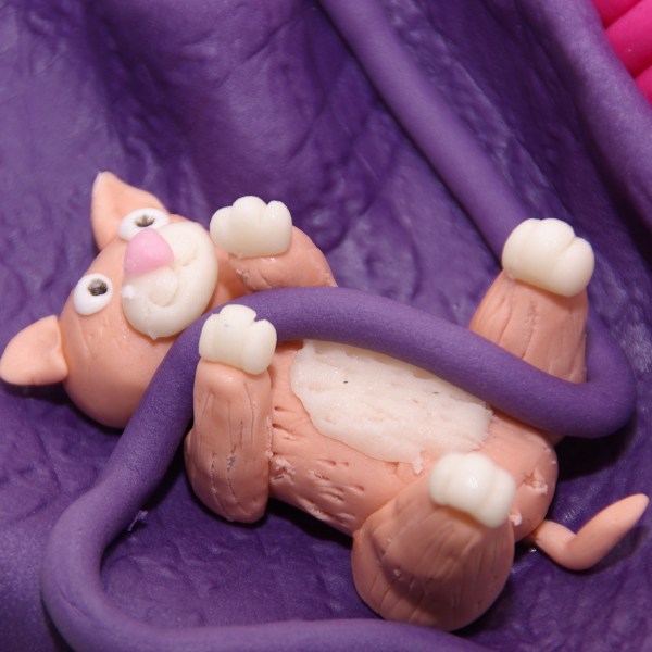 poezen taart rotterdam nesselande