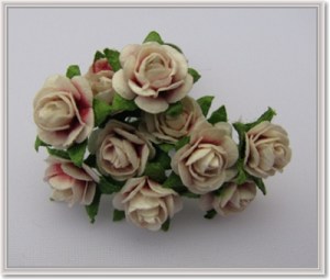 mulberry roosjes mulberry roosjes