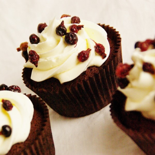 benefietconcert no guts no glory voor kanker behandeling in buitenland overgoed