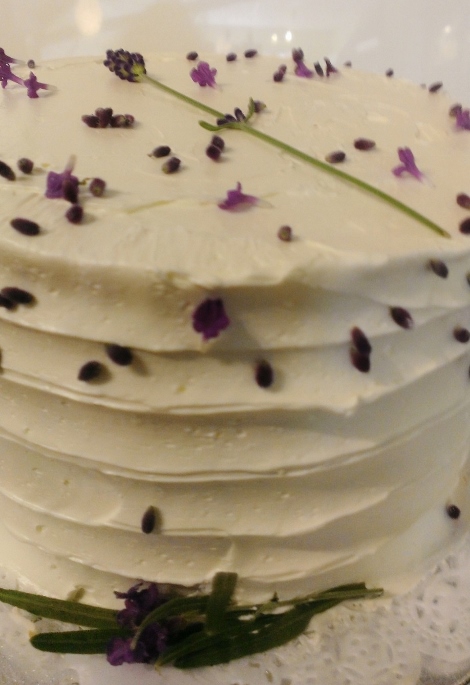 WP_20140829_001 (470x685)