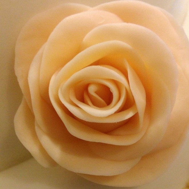 WP_20140830_001 (685x685)