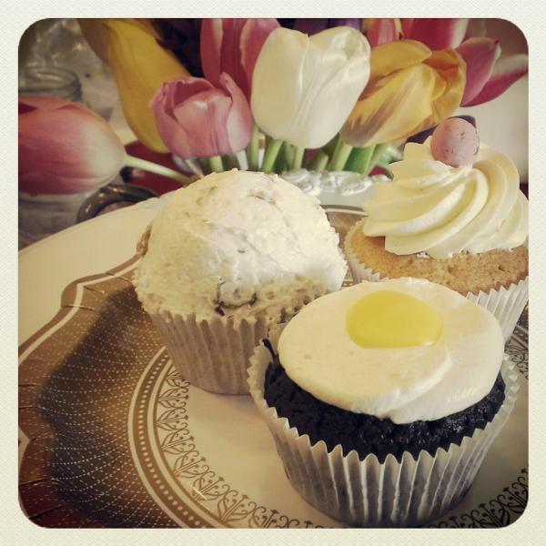 11054806_813954588692449_2338569193329087473_n