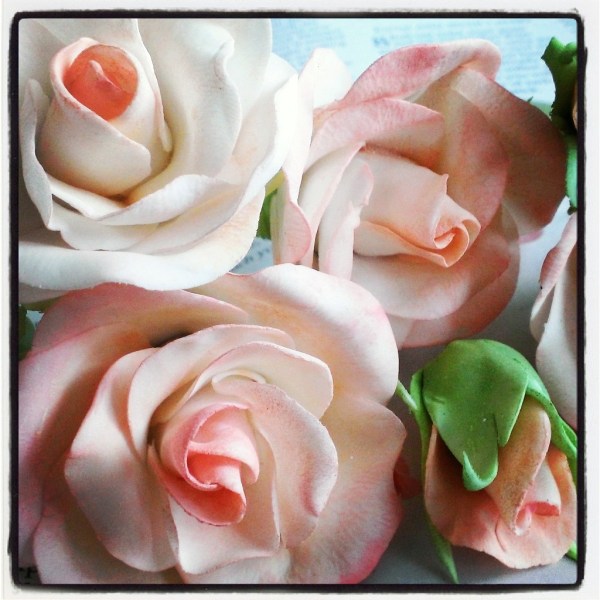 InstagramCapture_d0149ebd-31bc-45cd-b4ee-52403efdf796_jpg