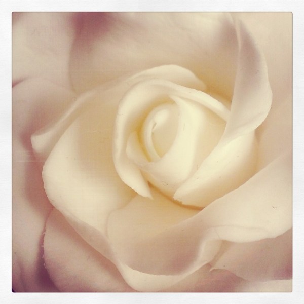 InstagramCapture_df1c778c-a559-436a-82d9-6ae92c7ac167_jpg