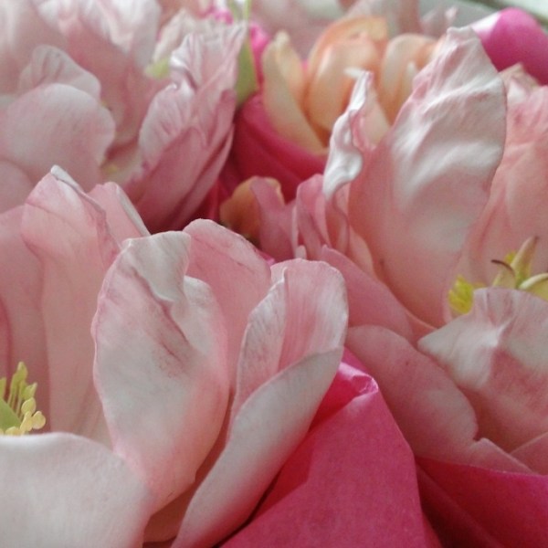 WP_20150504_004 (685x685)