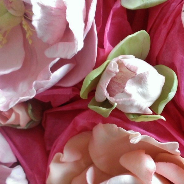 WP_20150504_008 (685x685)