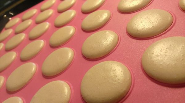 schiphol transavia macarons