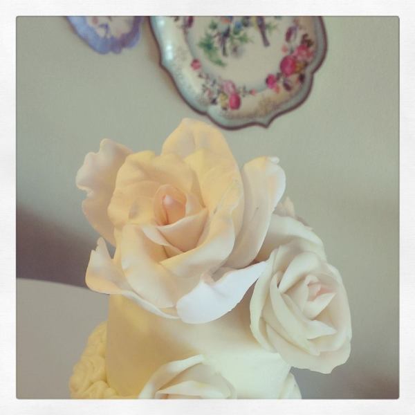 11866499_882699948484579_4852184078410578386_n