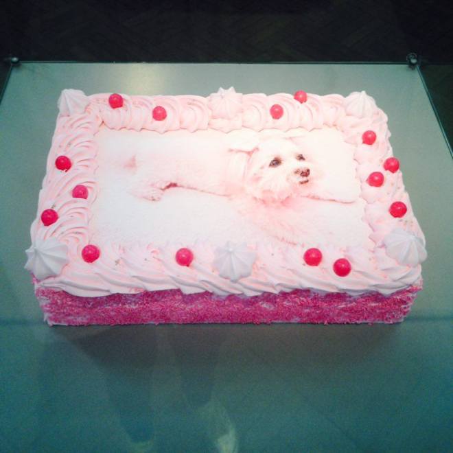 12899997_10156853488540195_1335510660_n