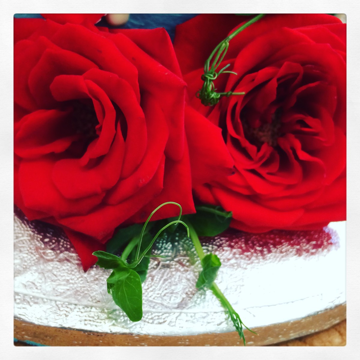 Bloemen om op te (vr)eten!