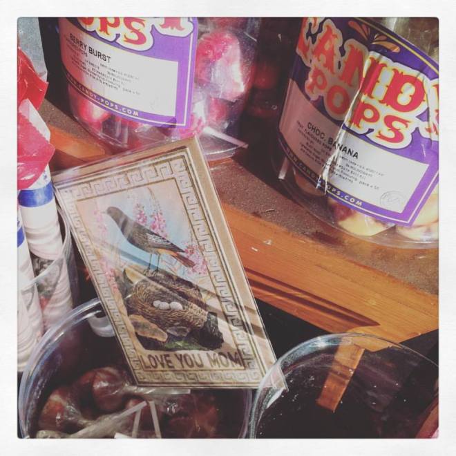 13124558_10208128089512147_8632369084264391938_n