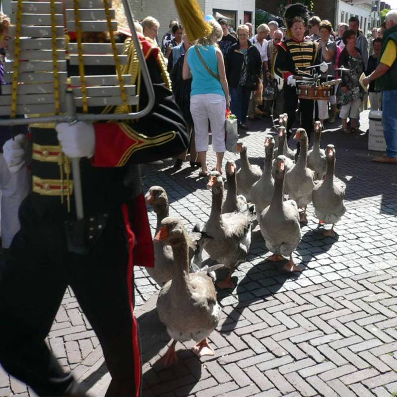 zaterdag 3  september: Oogstfeest!!!